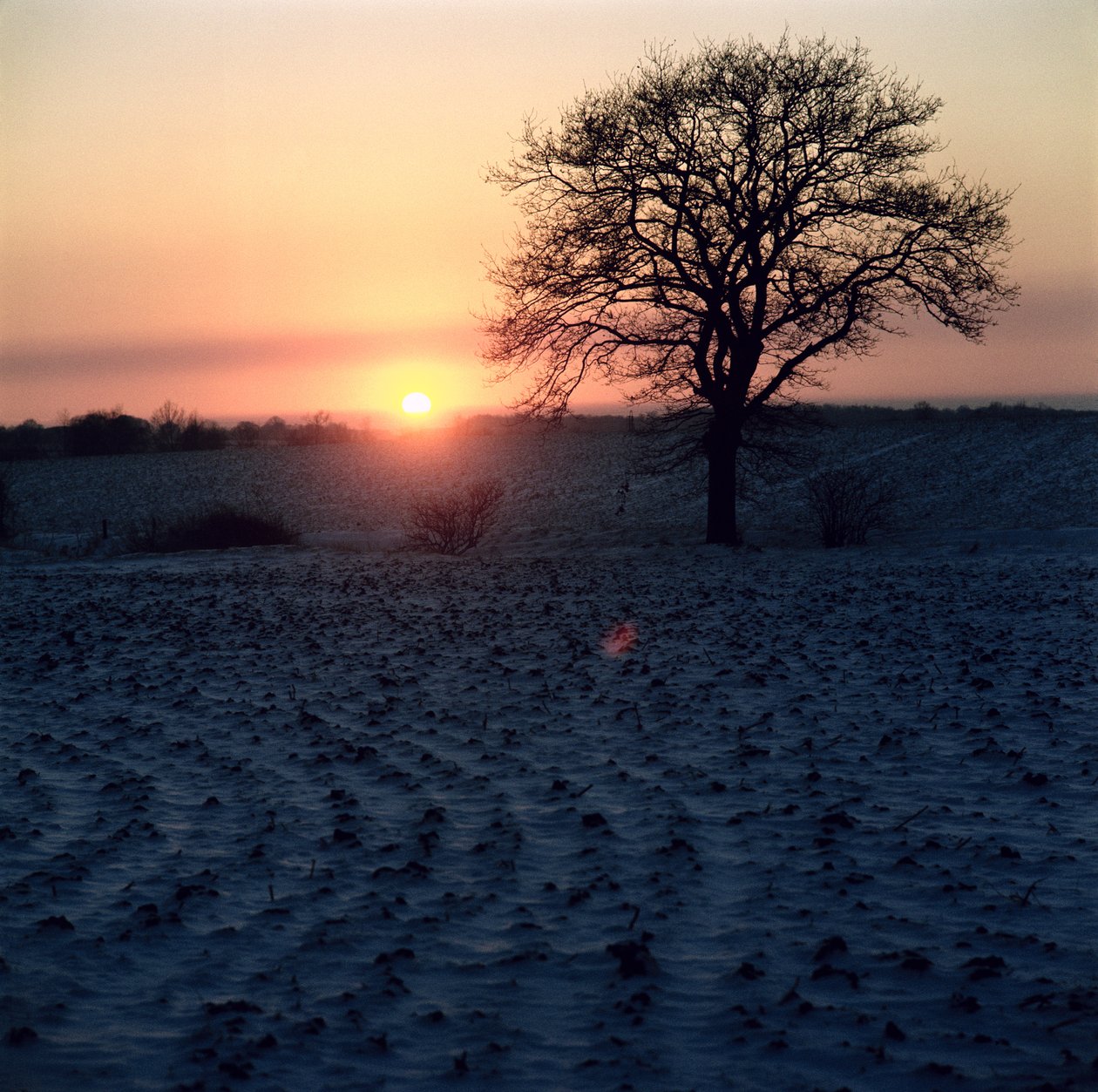 Winterzonsondergang, Essex door Unbekannt Unbekannt