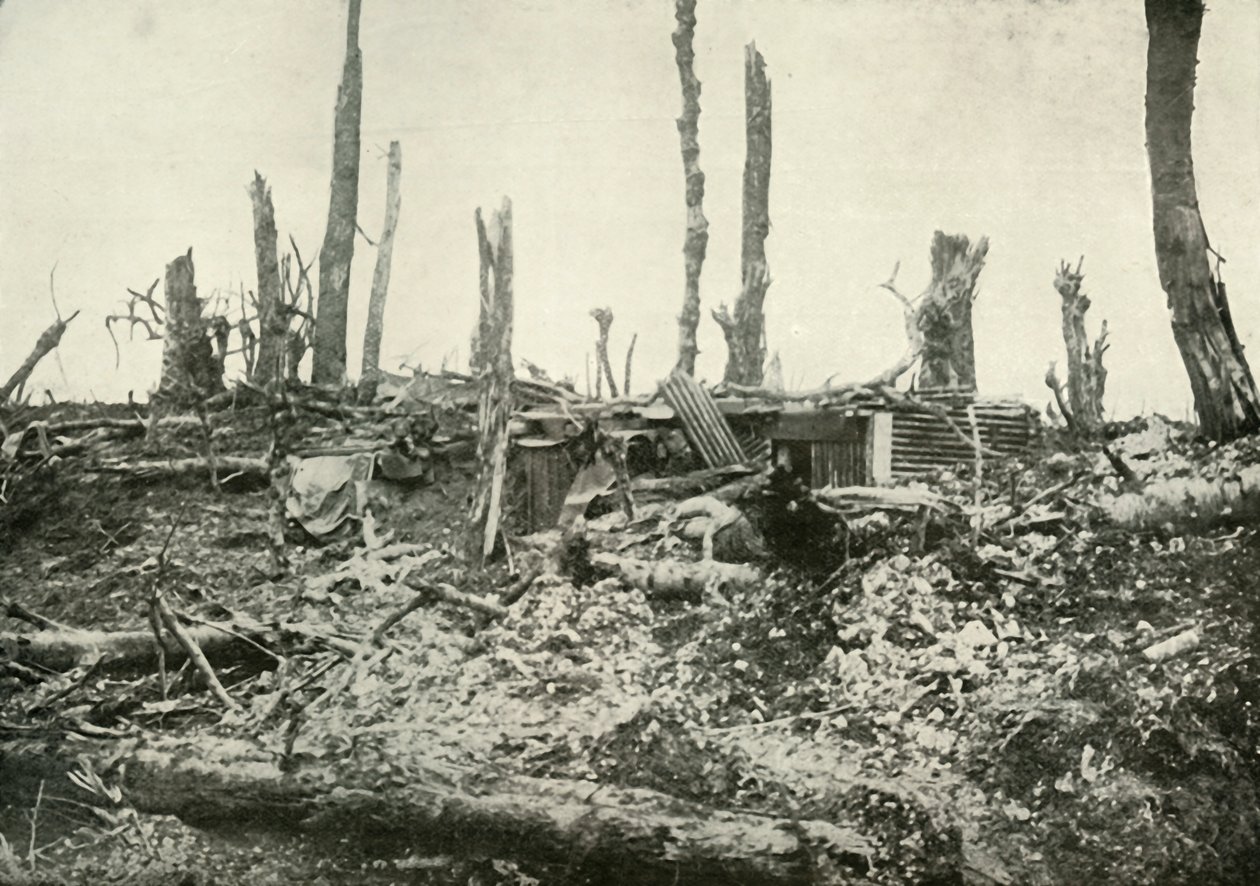 Een schuilplaats in wat eens een bos was, 1919 door Unbekannt