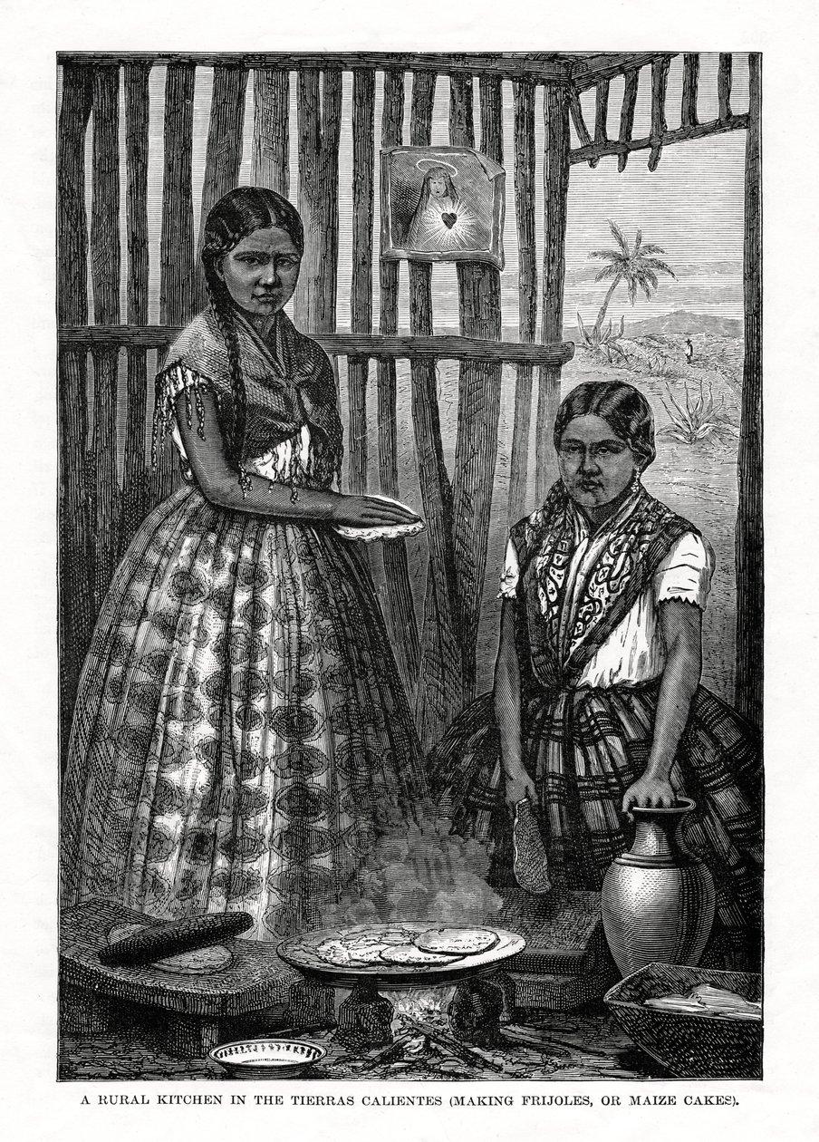 Een landelijke keuken in de Tierras Calientes, Mexico, 1877 door Unbekannt