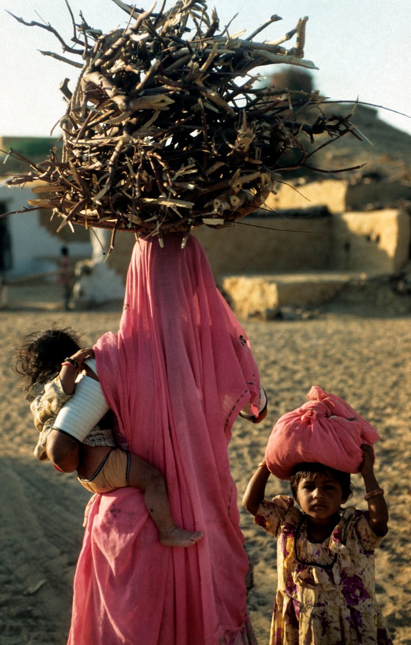 Een lokale houtbewerkingsfamilie uit een dorp in Rajasthan. Rajasthan, India. 25 februari 2005. (foto) door Unbekannt