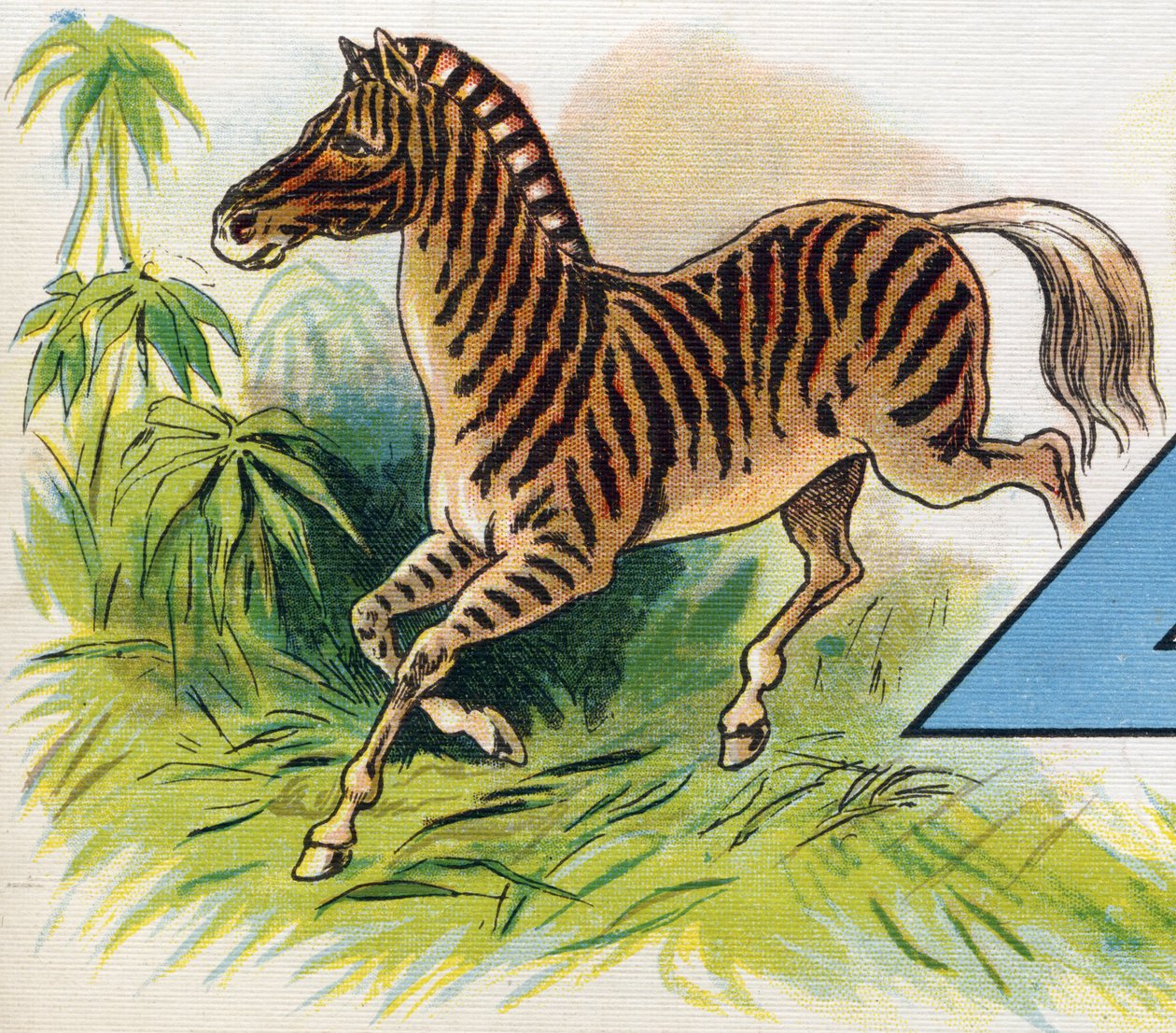 Een zebra. Gravure in "ABC L