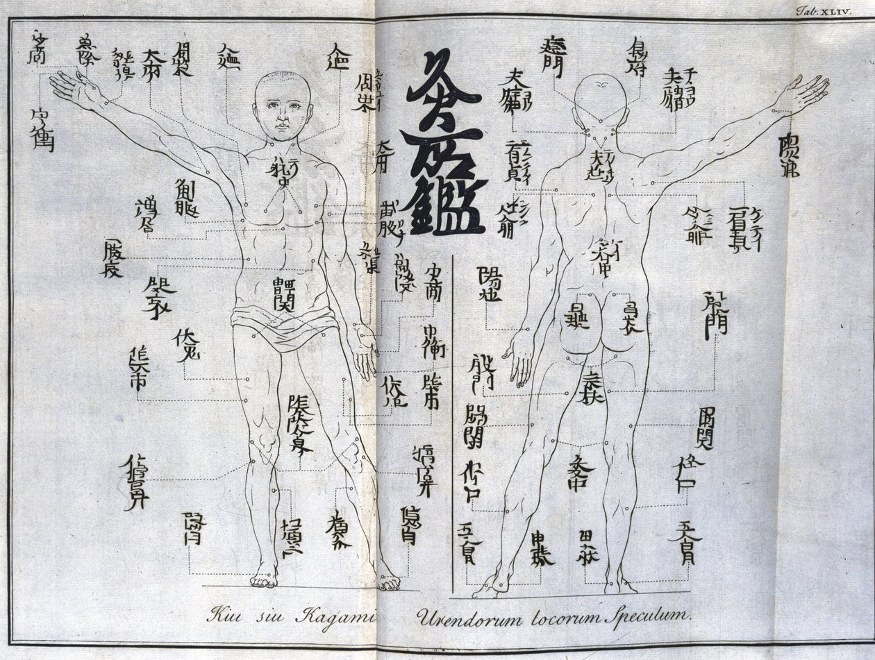 Acupunctuur: kaart van het menselijk lichaam met de moxibustiepunten, Japan (Kaart met betrekking tot moxa, ca. 1690) door Unbekannt