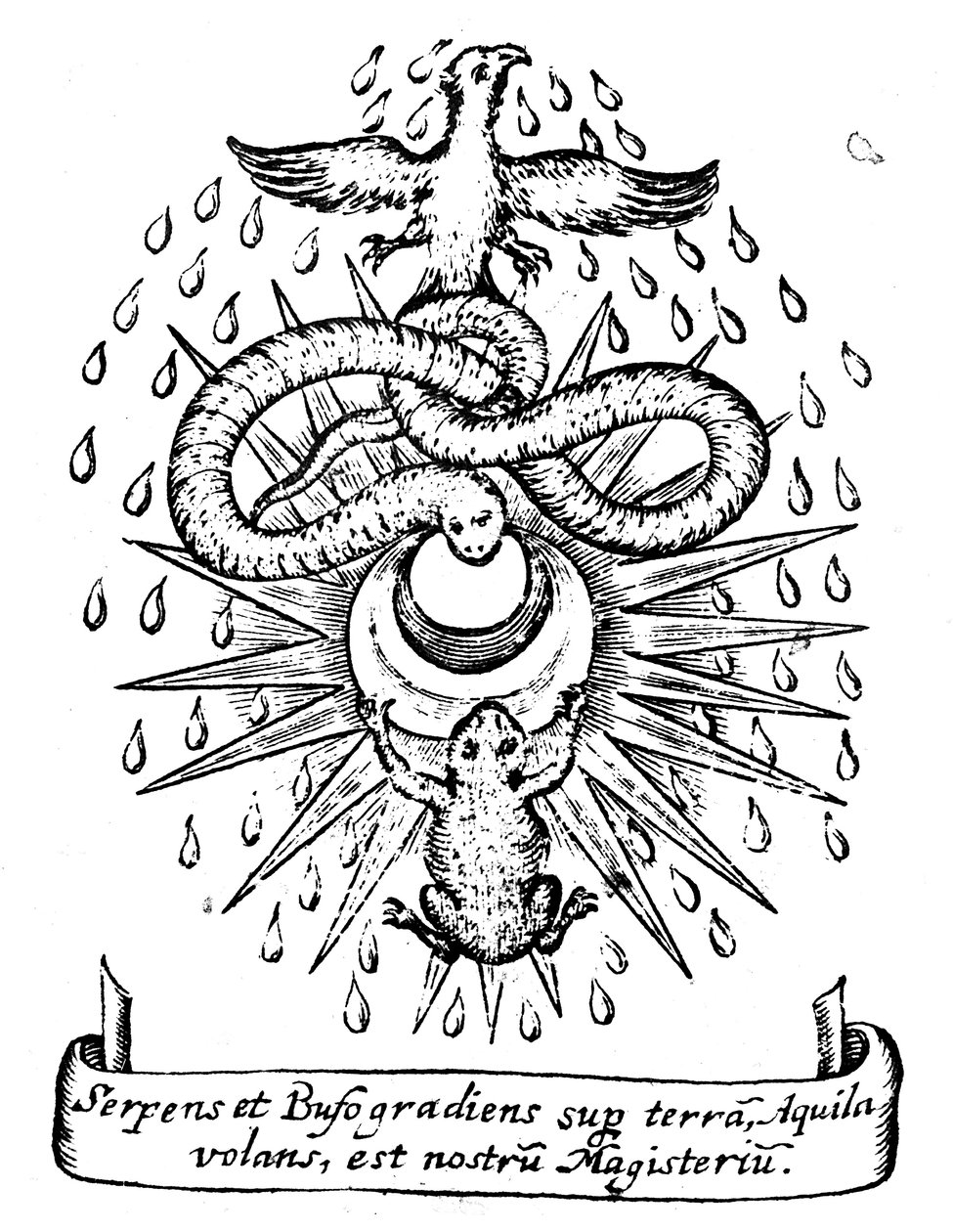 Alchemistische symboliek door Unbekannt