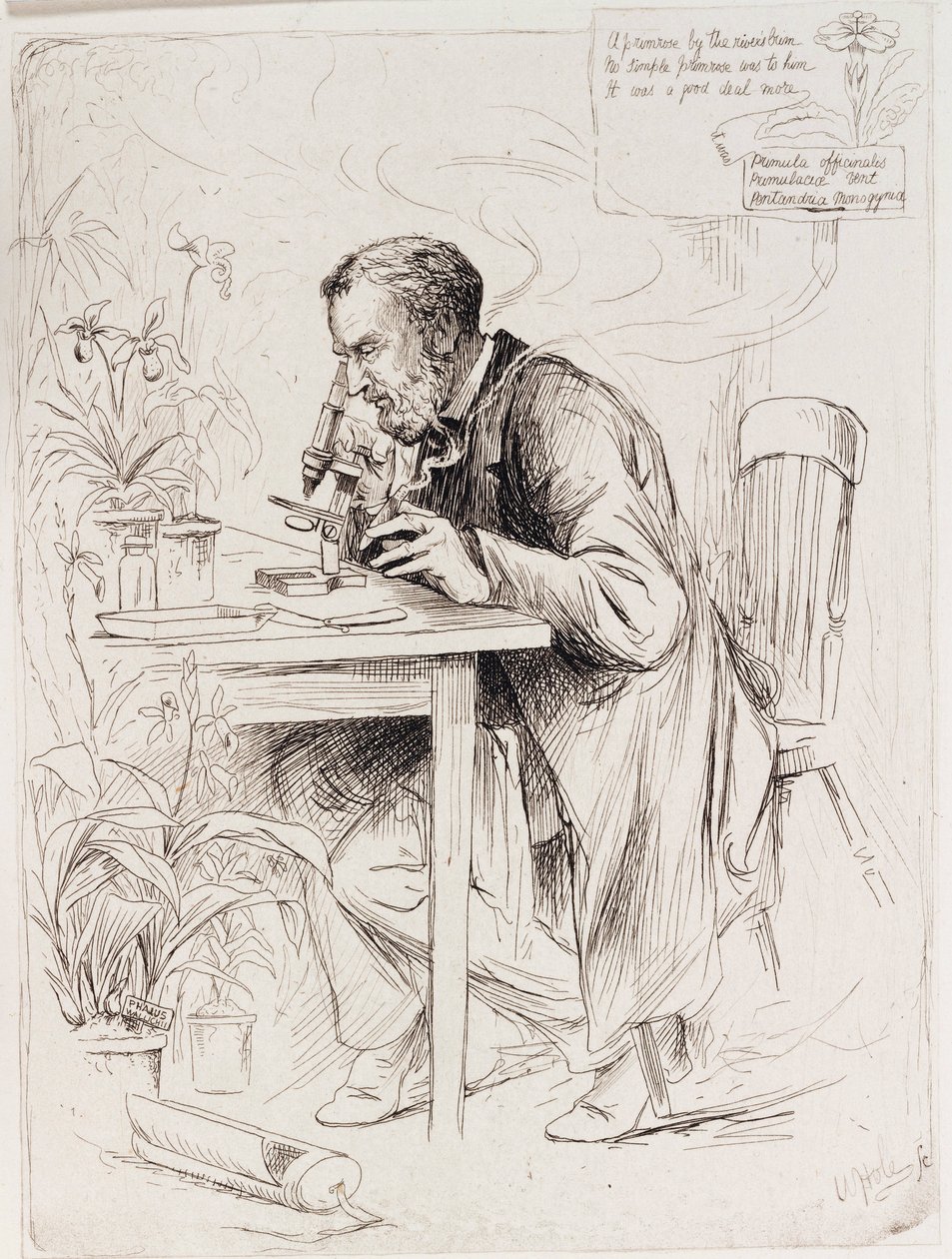 Alexander Dickson, botanicus door Unbekannt