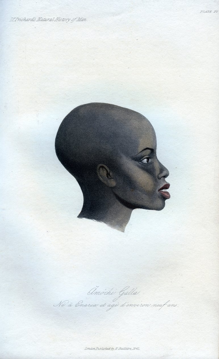 Amochi Galla, een portret van een Galla, 1848 door Unbekannt