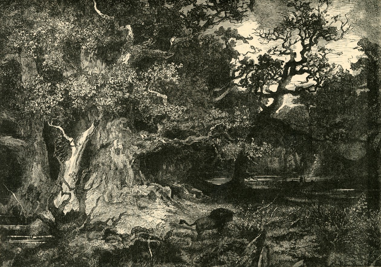 Een Oud Duits Bos, 1890 door Unbekannt