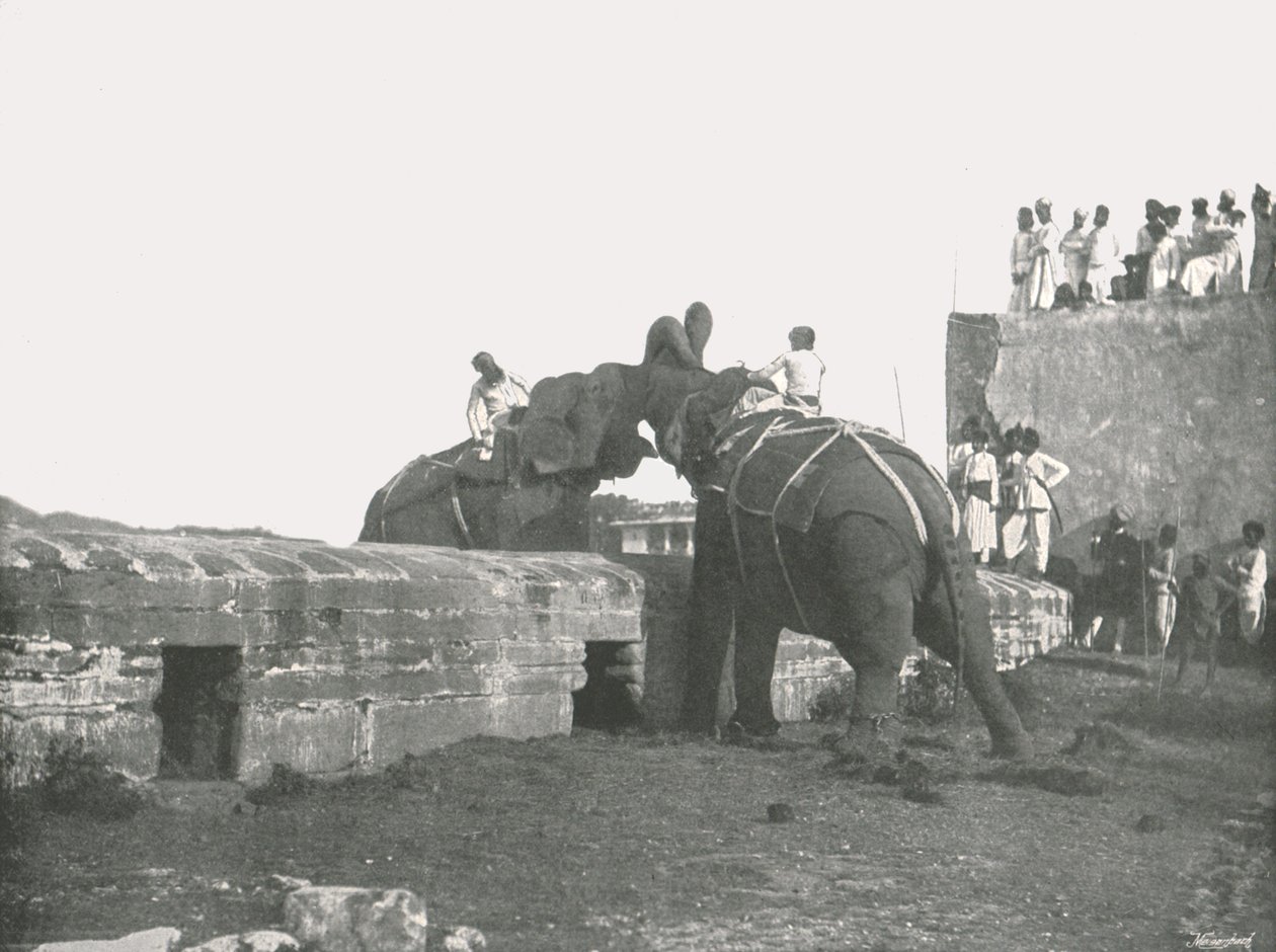 Een olifantengevecht, Hyderabad, India, 1895 door Unbekannt