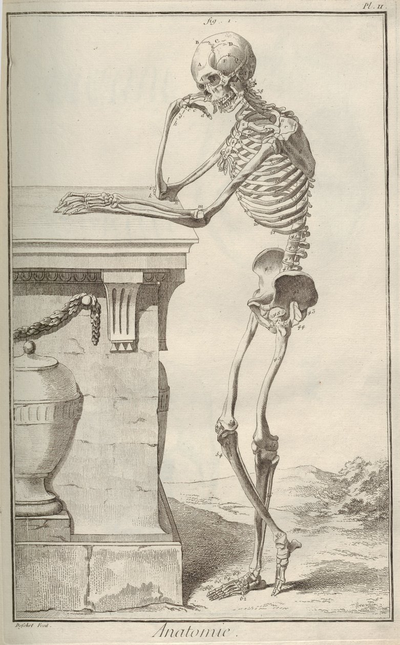 Anatomie. Uit Encyclopédie door Denis Diderot en Jean Le Rond d
