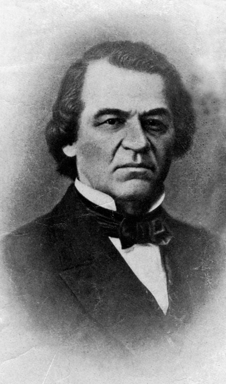 Andrew Johnson, president van de Verenigde Staten, 20e eeuw door Unbekannt