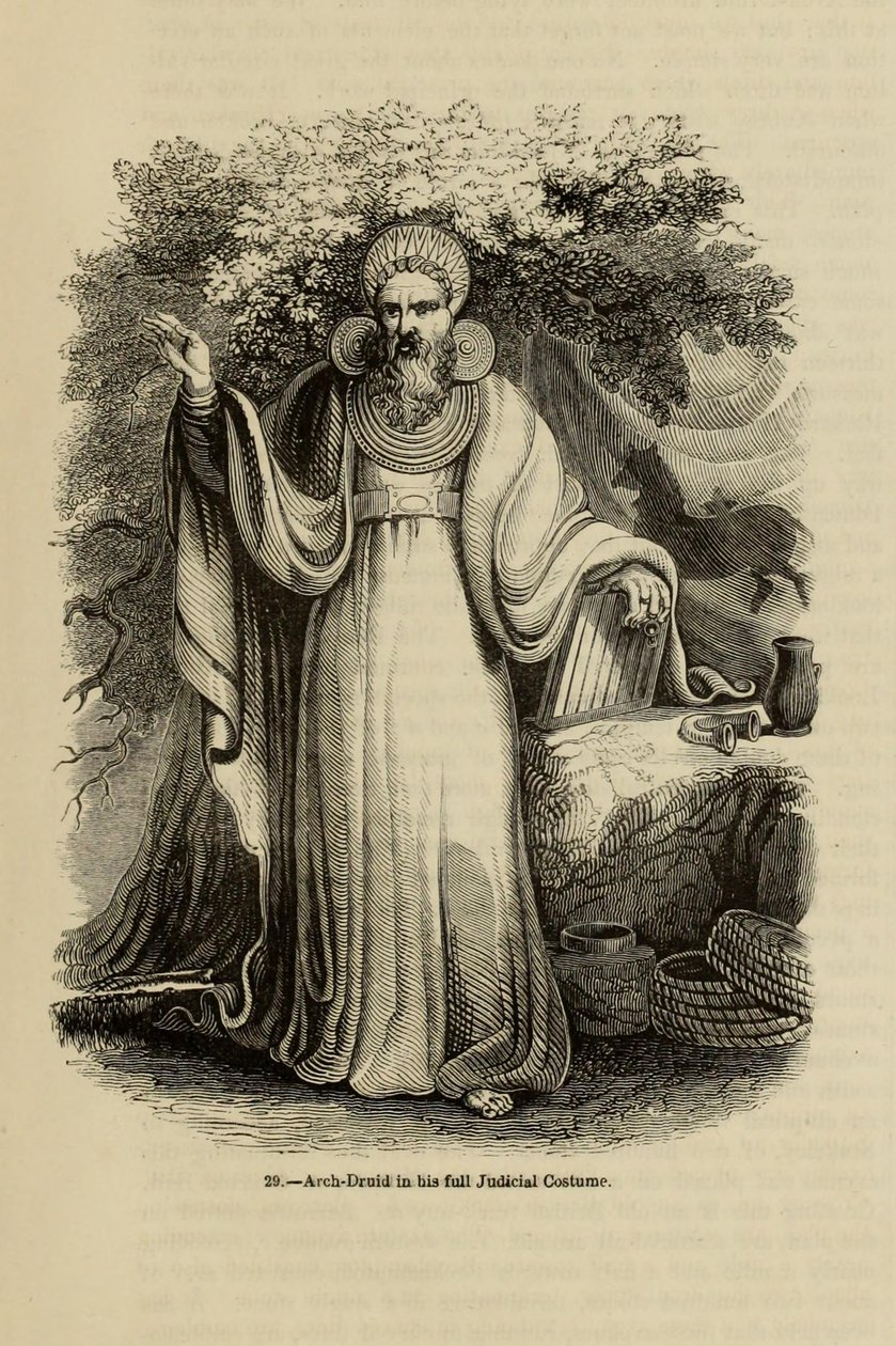 Aartsdruïde in zijn volledige gerechtelijke kostuum Uit het boek Oud Engeland: Een Picturaal Museum, 1845 door Unbekannt