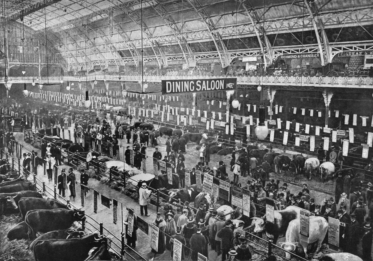 Op de Smithfield Club veeshow, Agricultural Hall, Islington, Londen door Unbekannt