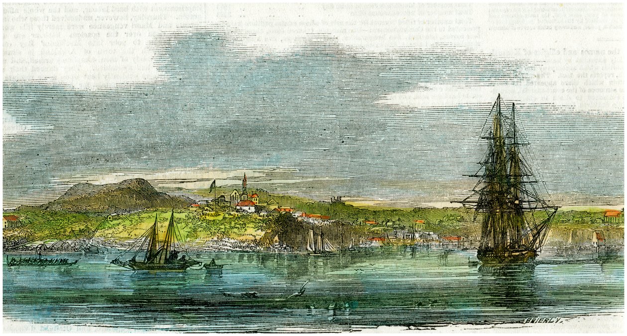 Auckland, Nieuw-Zeeland, c1880 door Unbekannt