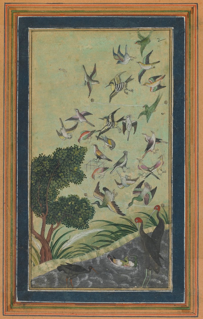 Vogels bij Baran, mogelijk uit de Babur-nama, eind 16e eeuw door Unbekannt