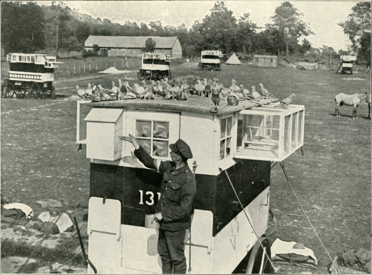 Britse leger postduiven in Frankrijk: door paarden getrokken duiventillen, 1919 door Unbekannt