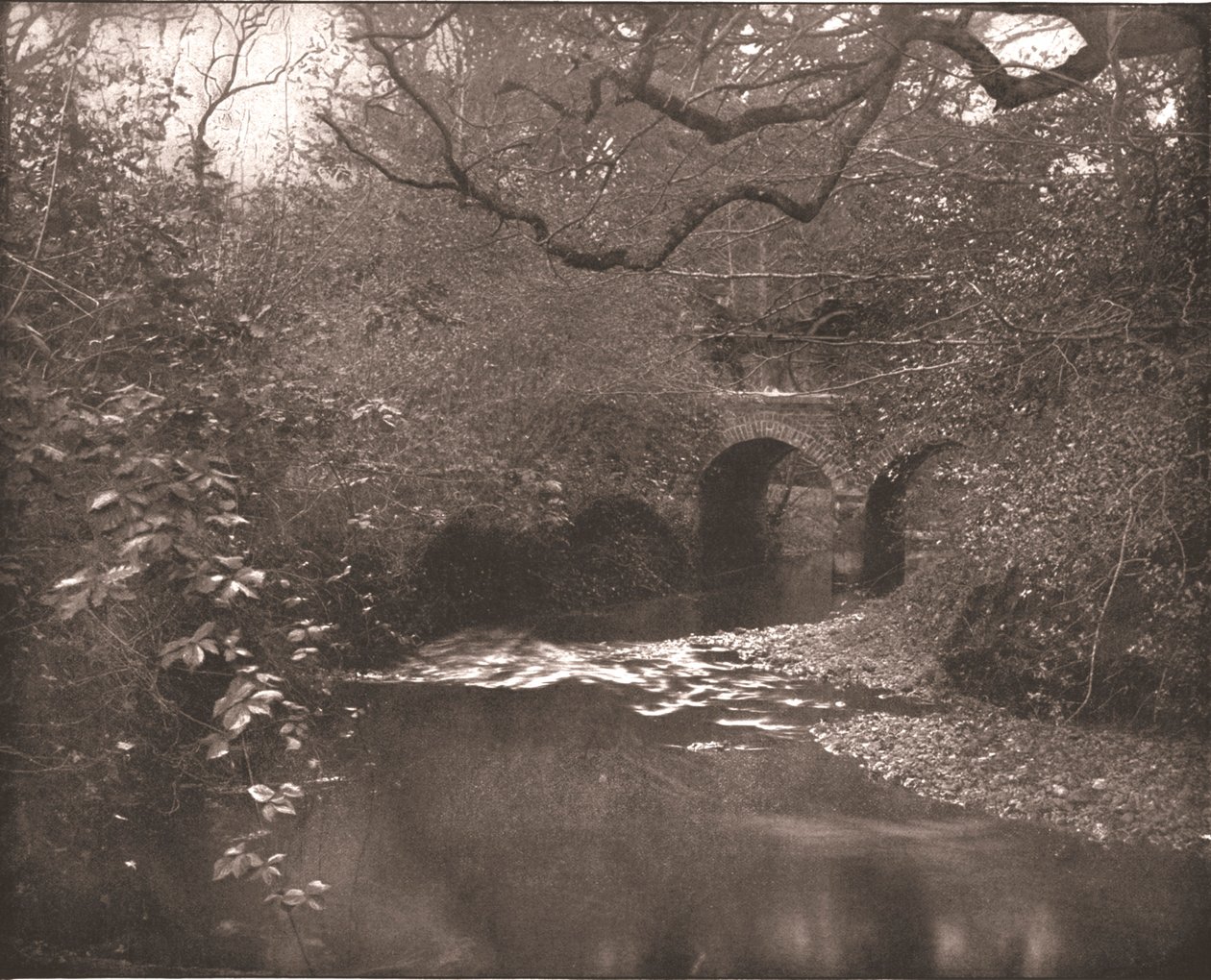 Beek en brug in het New Forest, Hampshire, 1894 door Unbekannt
