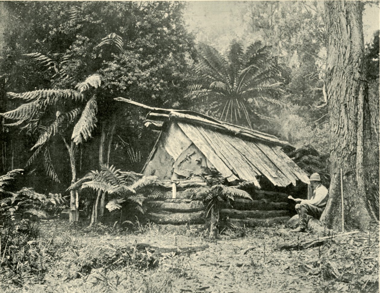 Bush Hut, Dandenong Ranges, Victoria, 1901 door Unbekannt