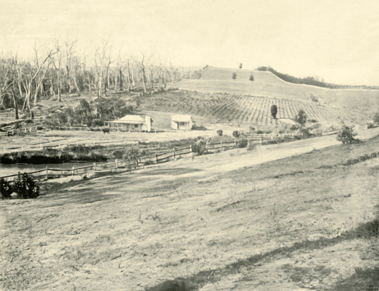 Bush Workmans Home, Gippsland, Victoria, 1901 door Unbekannt