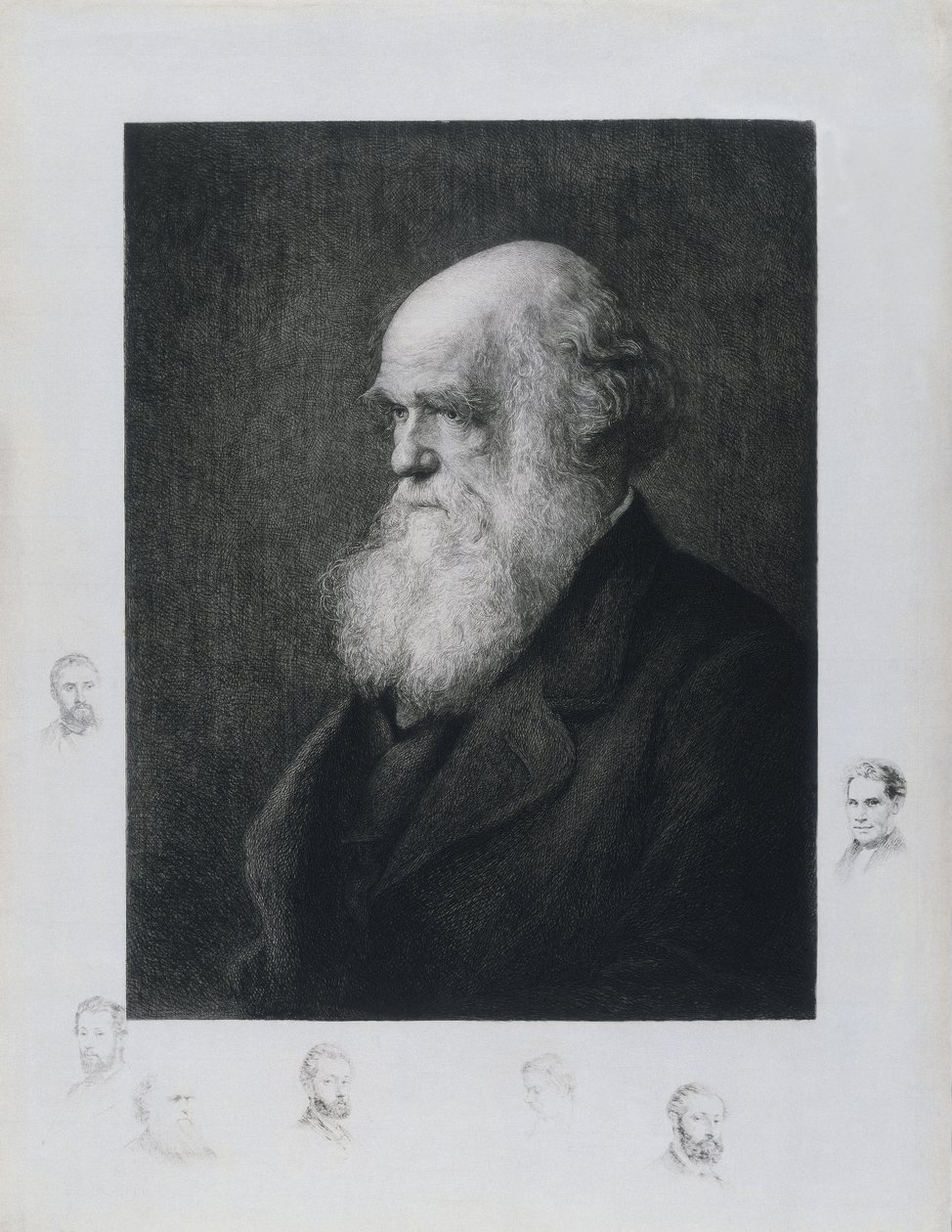 Charles Darwin, Engelse natuuronderzoeker, circa 1860s door Unbekannt
