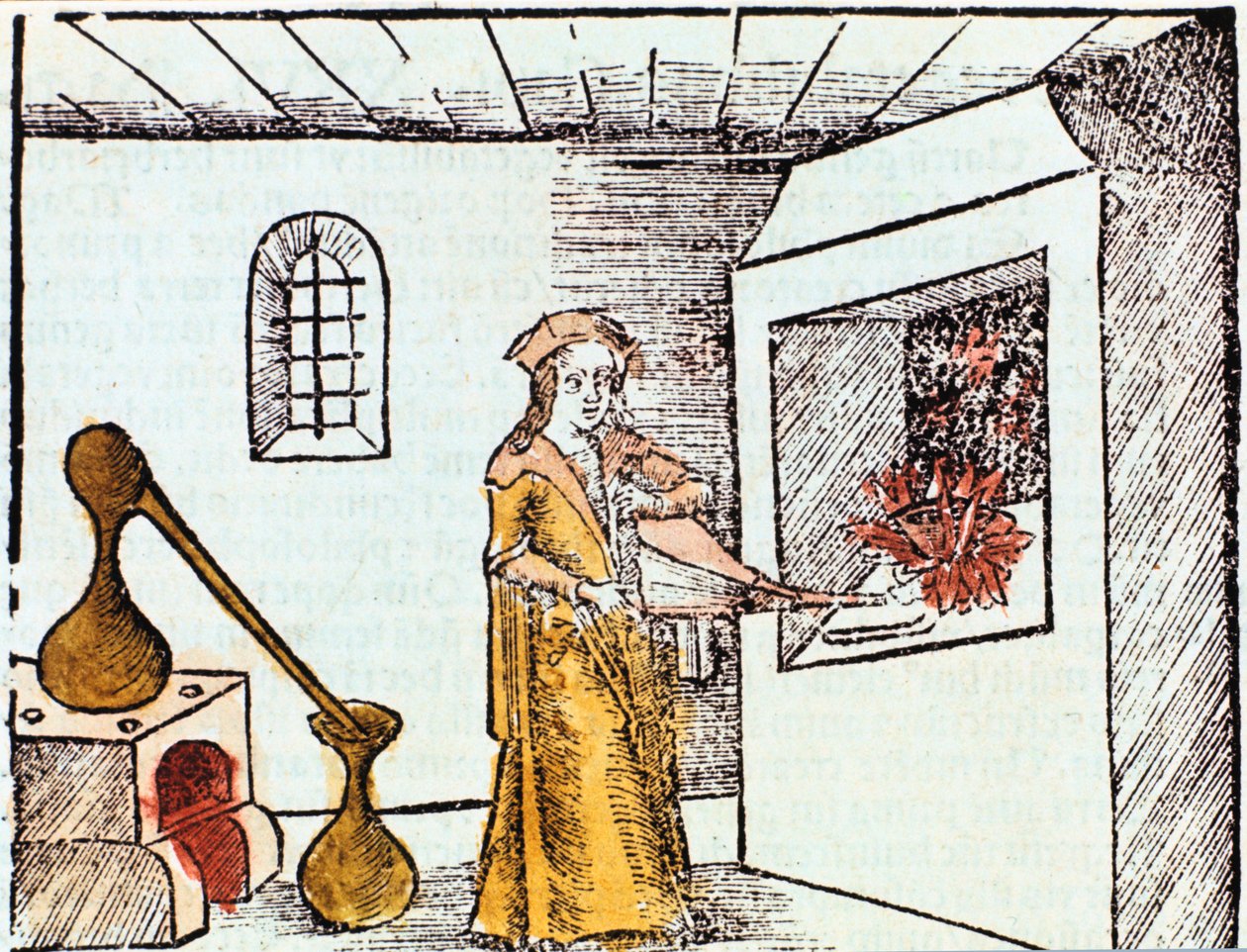 Chemicus, 1508 door Unbekannt