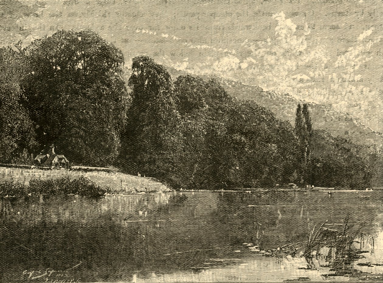 Cliefden Woods, 1898 door Unbekannt