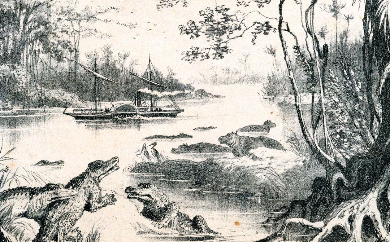 David Livingstone navigeert de Zambezi, Afrika, 1852-1864 c1878 door Unbekannt
