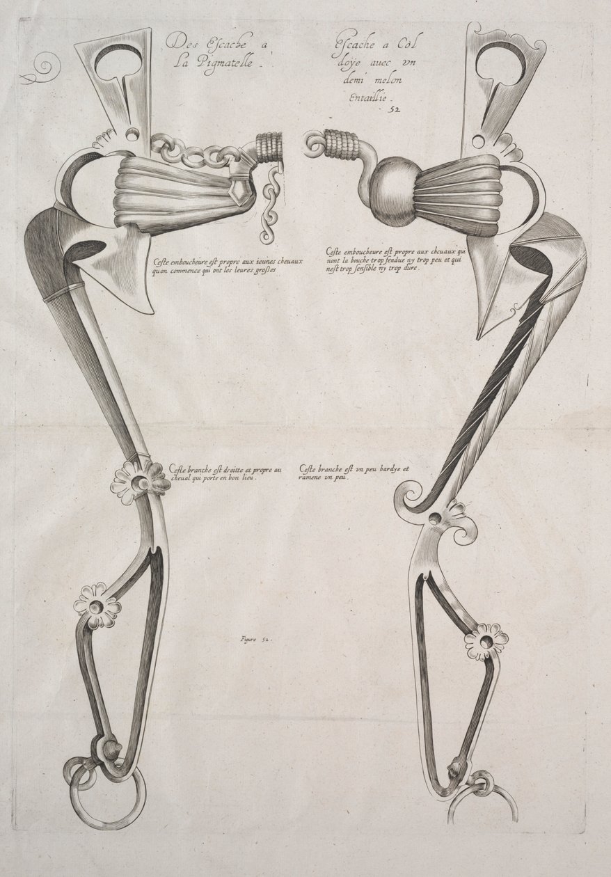 Diagram voor paardenbit, 1700s door Unbekannt