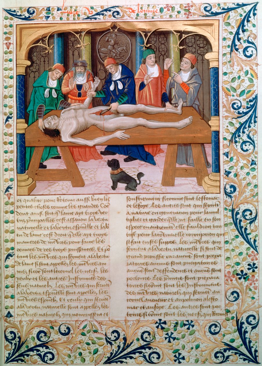 Dissectie, laat 15e eeuw door Unbekannt