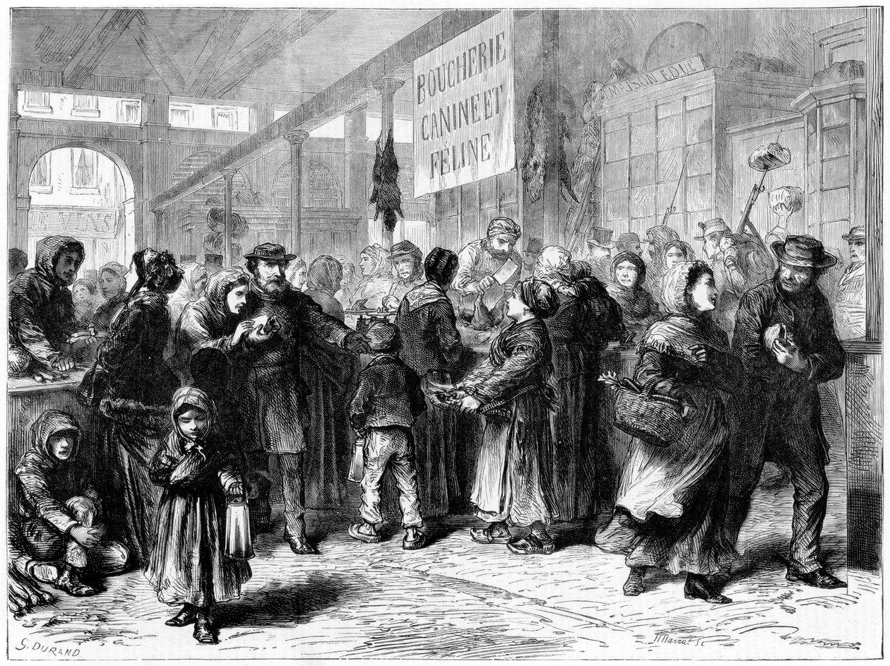 Honden- en kattenvlees slager in Parijs, Frans-Duitse Oorlog, 1871 door Unbekannt