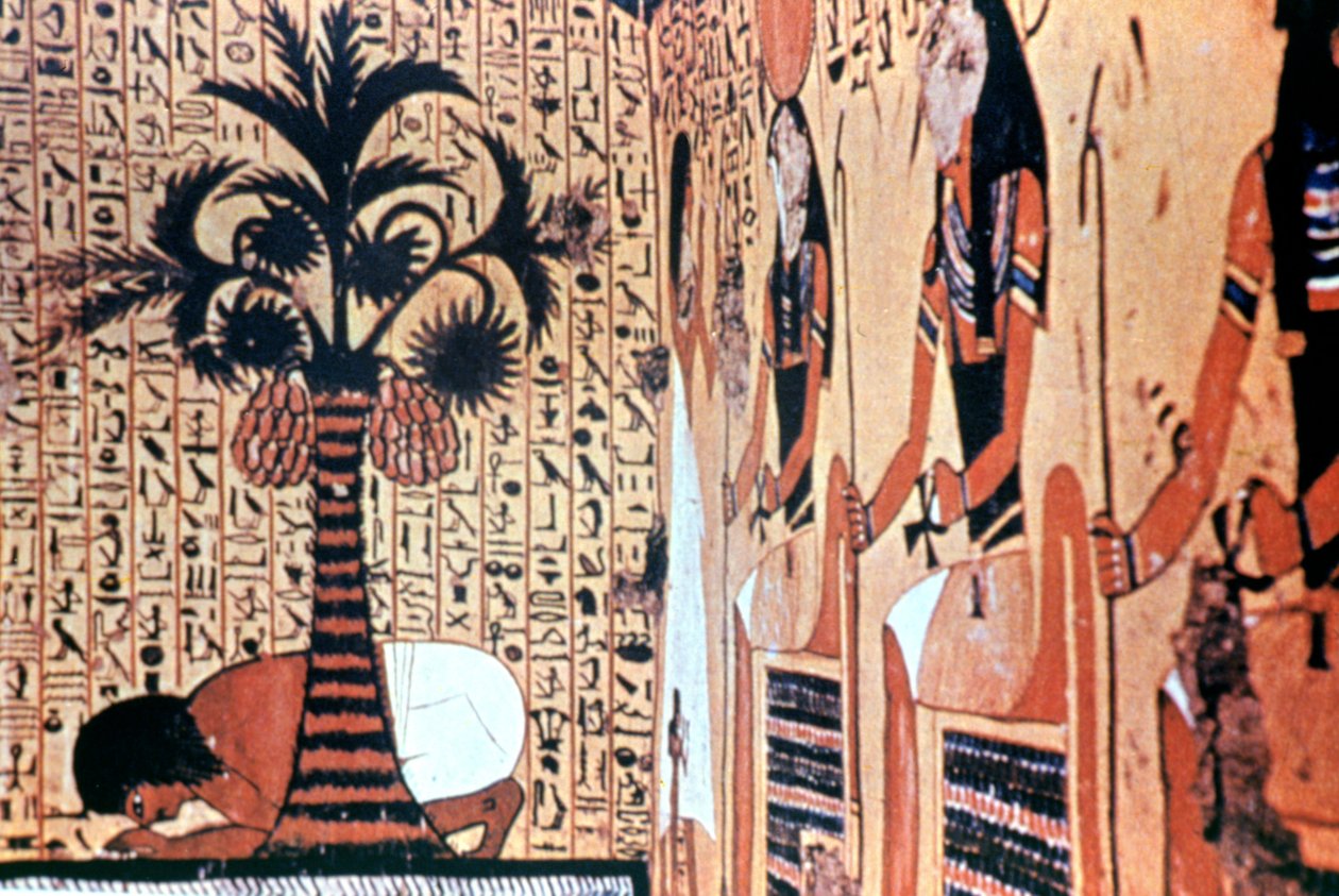 Drinken uit de rivier, tempelmuurschildering, Thebe, Egypte door Unbekannt