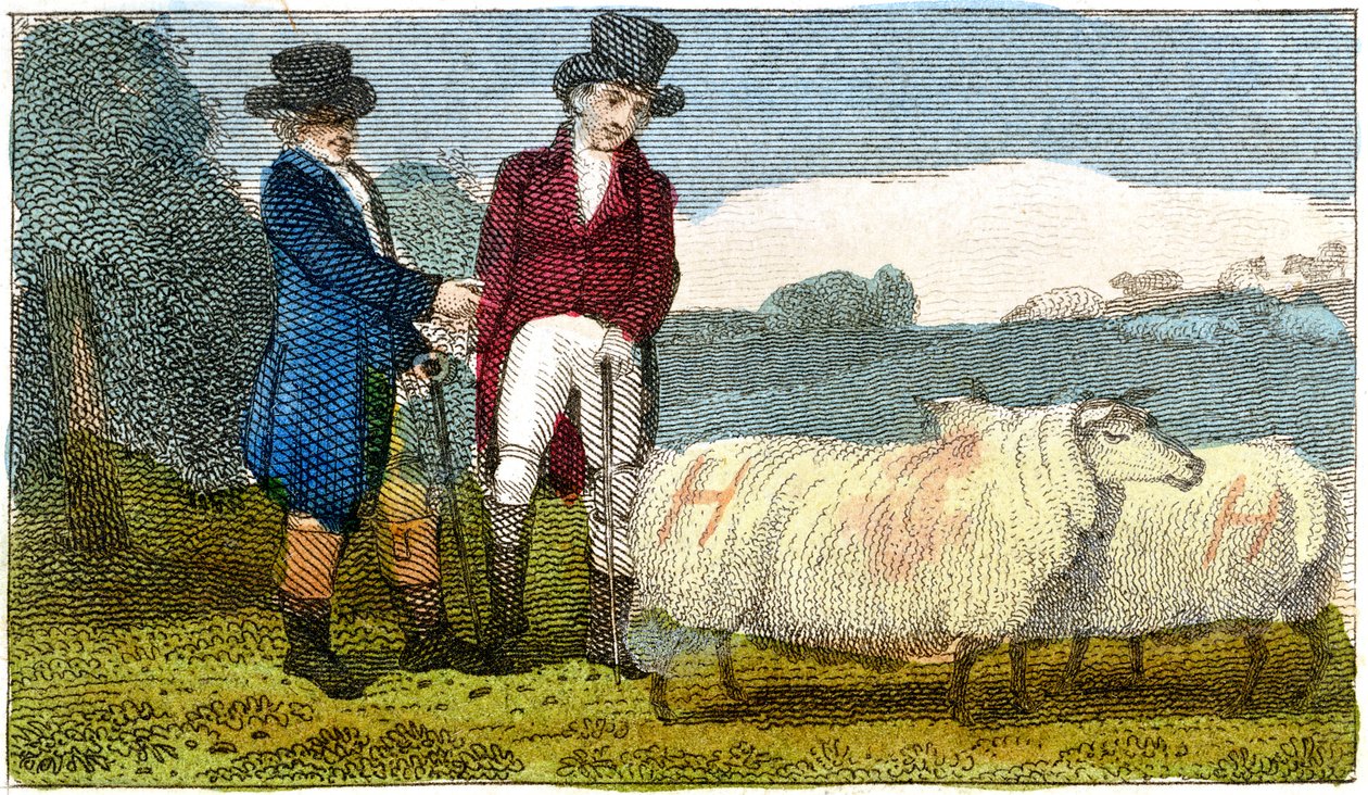 Boeren bespreken Dishley New Leicester schapen, 1822 door Unbekannt