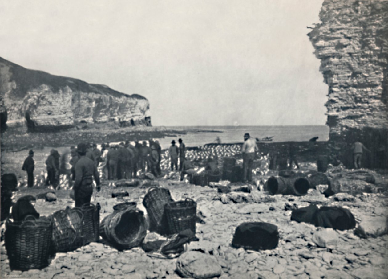 Flamborough - De vissers aan het werk, 1895 door Unbekannt