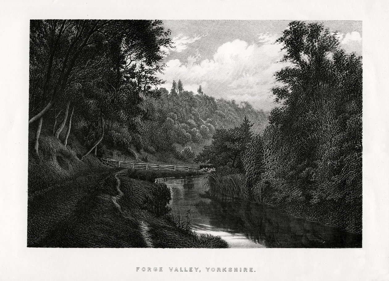 Forge Valley, Yorkshire, 1896 door Unbekannt