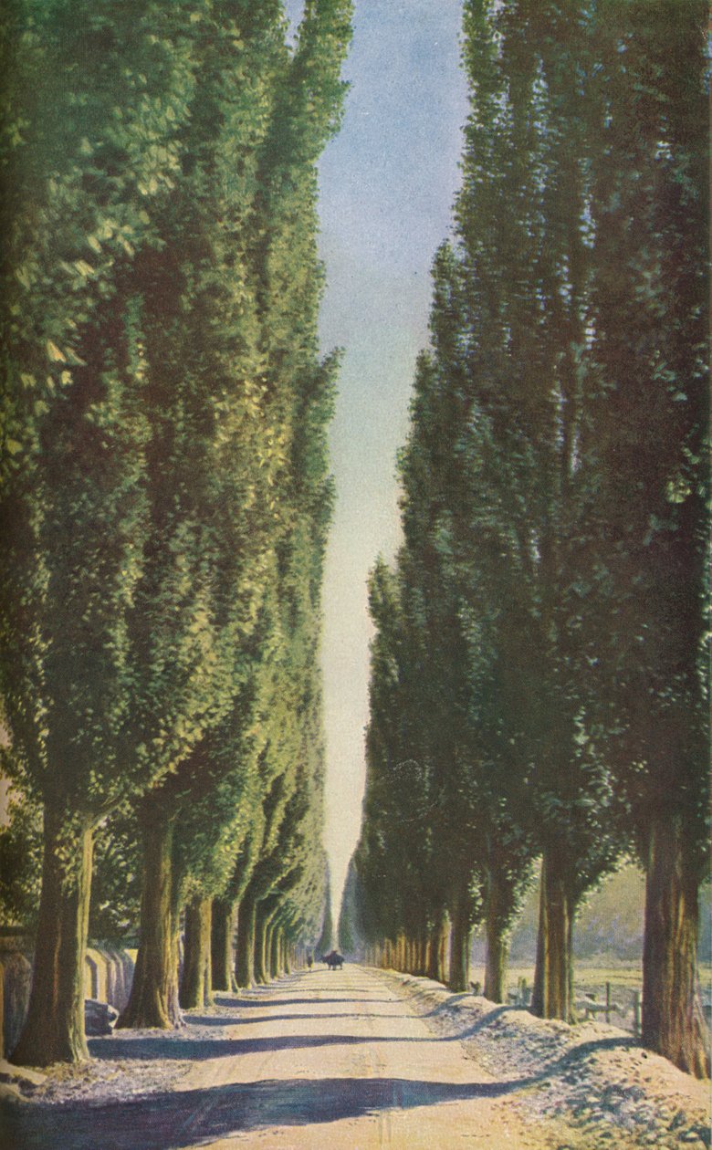 Frankrijk, c1930s door Unbekannt