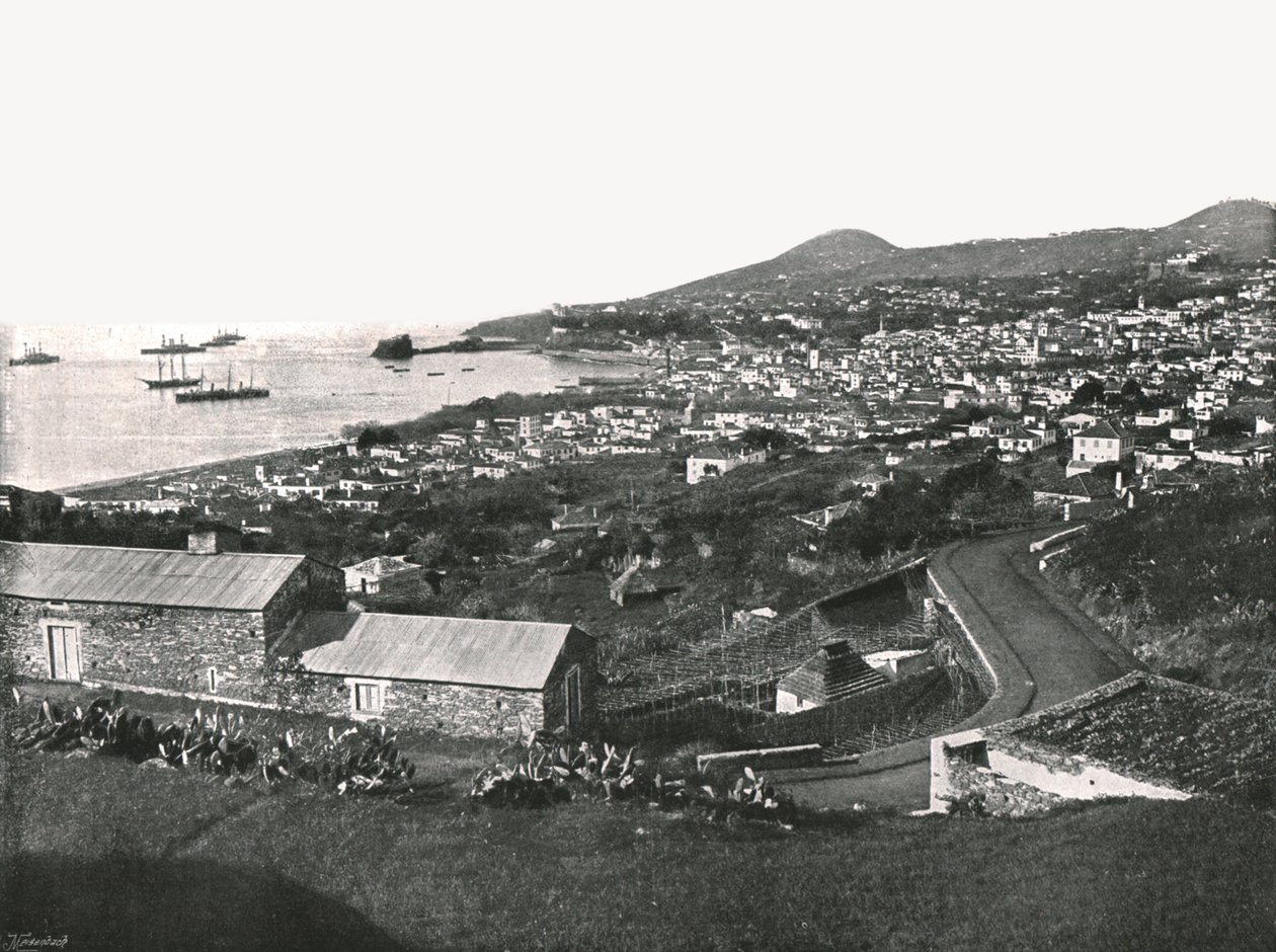 Algemeen uitzicht op Funchal, Madeira, Portugal, 1895 door Unbekannt