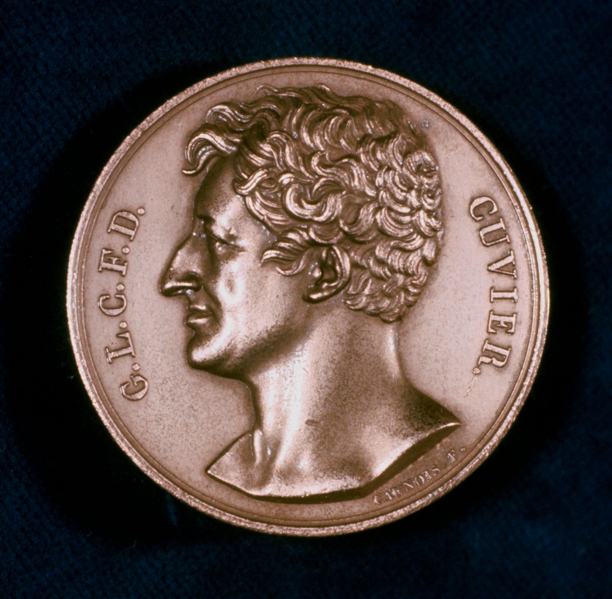 Georges Leopold Chretien Frederic Dagobert, Baron Cuvier, Franse anatoom, 19e eeuw door Unbekannt