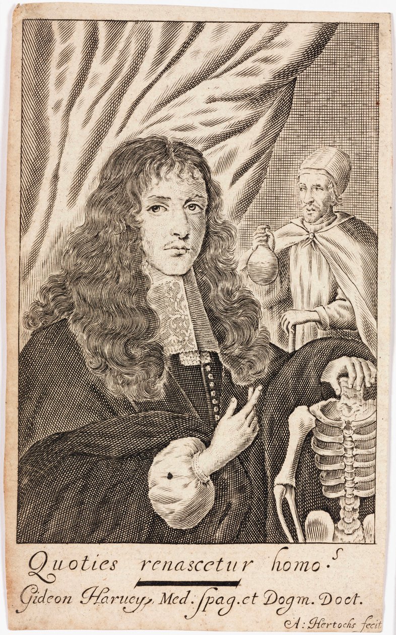 Gideon Harvey, Engelse arts door Unbekannt