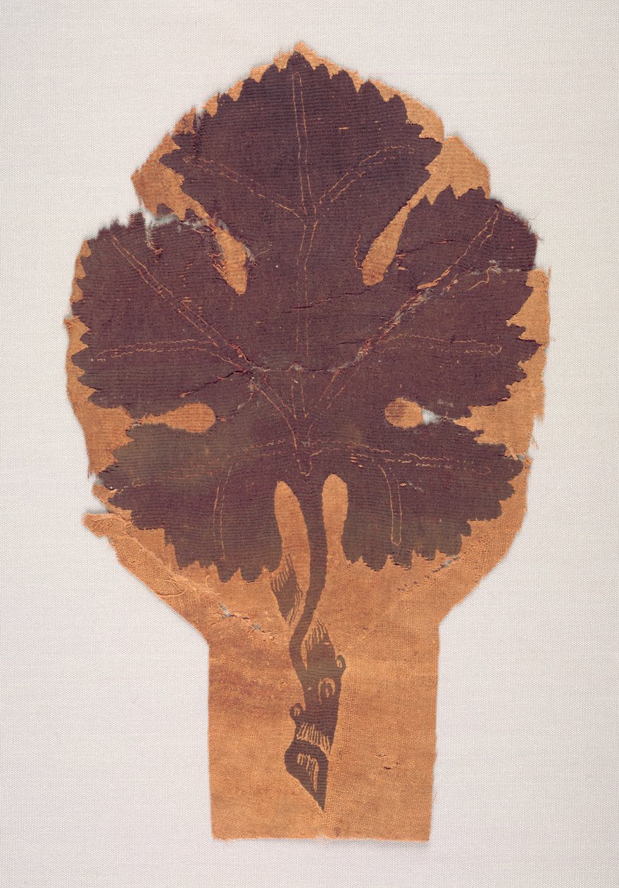 Druivenblad van een gordijn, 400-500 door Unbekannt