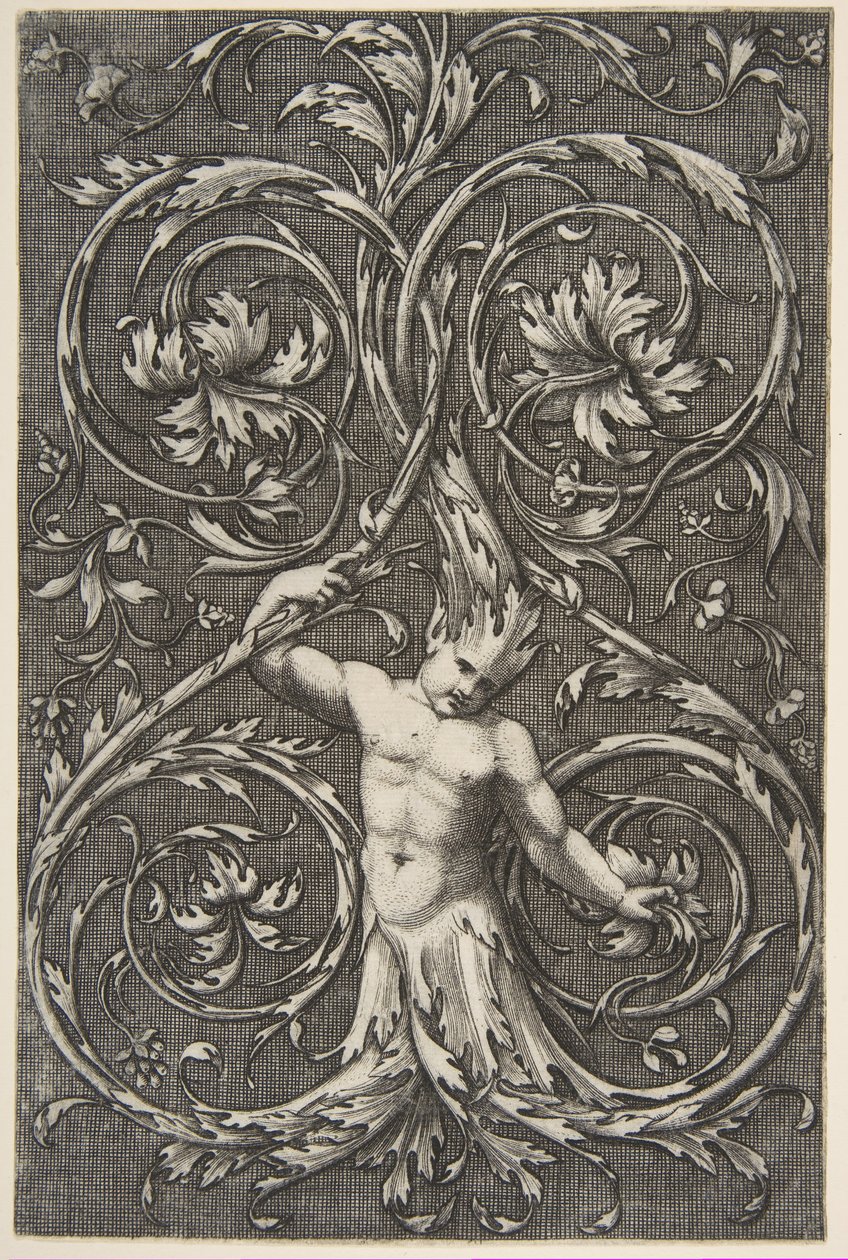 Grillige figuur met mannelijk figuur met onderlichaam en hoofd van acanthusbladeren, ca. 1515-1600 door Unbekannt