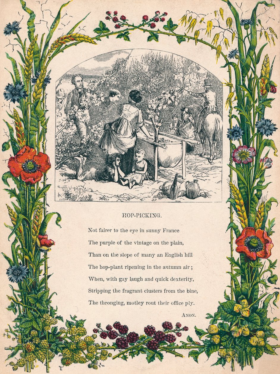 Hopplukken, c1900 door Unbekannt