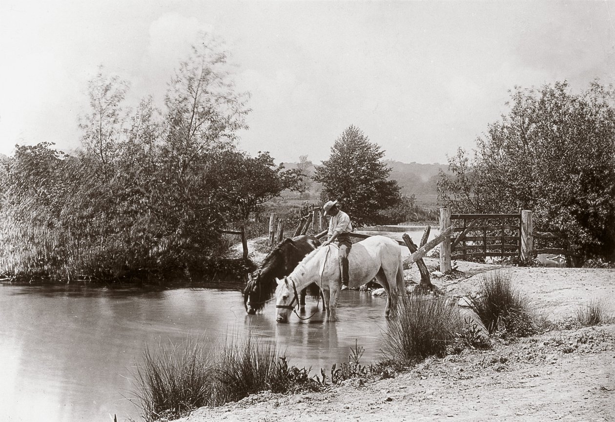 Paarden drinken bij vijver, circa 1890 door Unbekannt