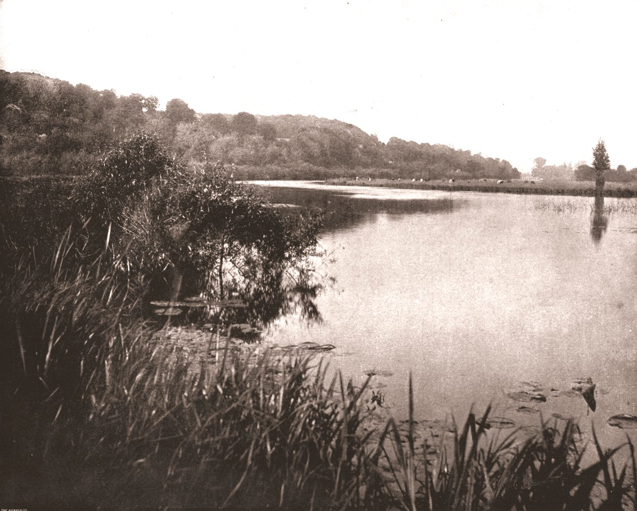 Hurley Reach, Rivier de Theems tussen Bisham en Medmenham, Buckinghamshire, 1894 door Unbekannt