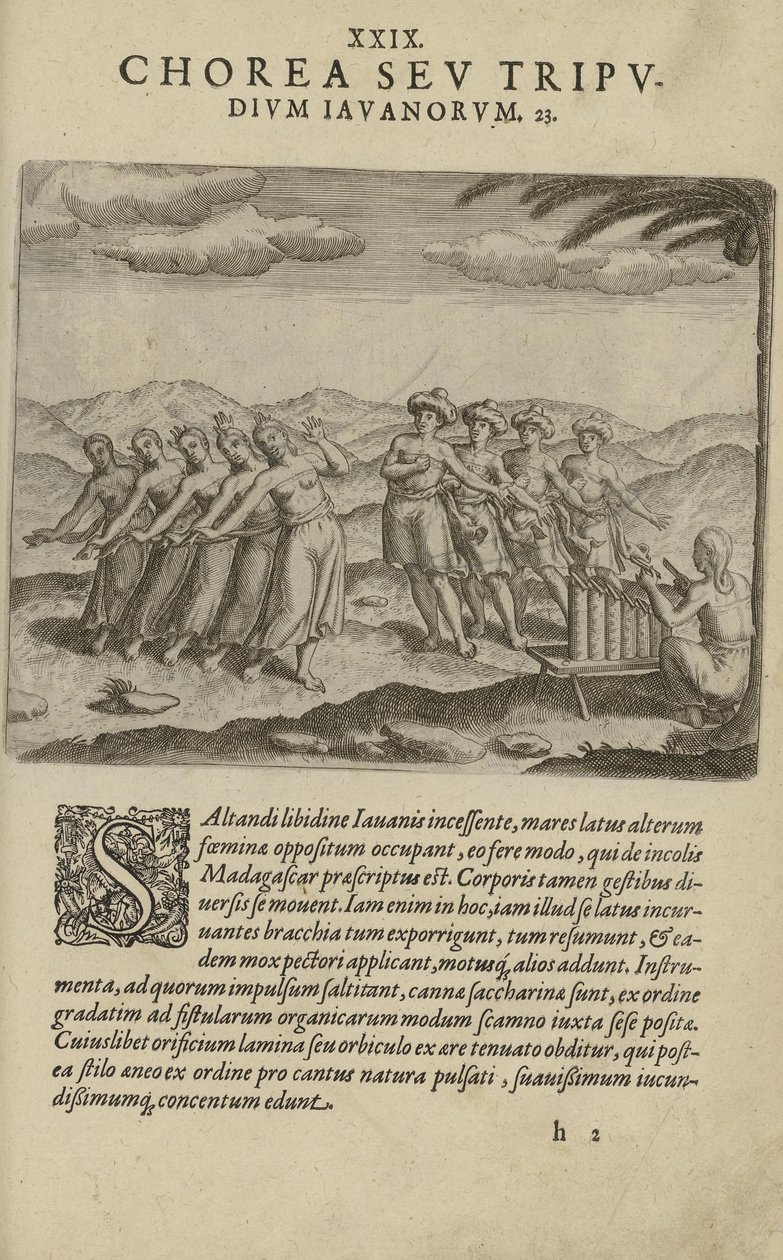 Illustratie uit het boek India Orientalis van onbekende auteur en uitgegeven door Excudebat Matthaeus Beckerus door Unbekannt