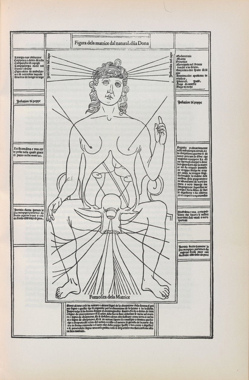 Illustratie uit Fasciculo di medicina door Johannes de Ketham, 1493 door Unbekannt