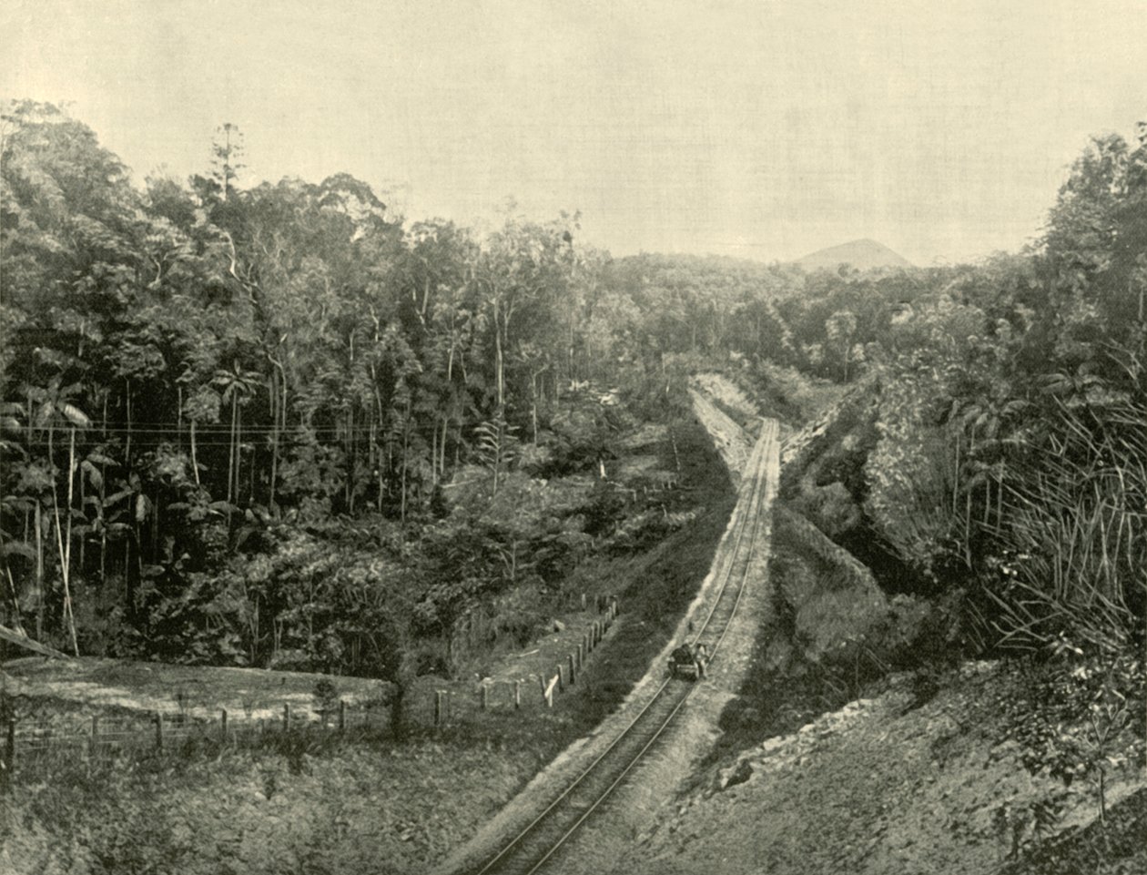 In de Blackall Ranges, 1901 door Unbekannt