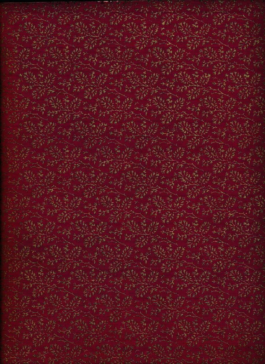 Binnenomslagpatroon, 1901 door Unbekannt