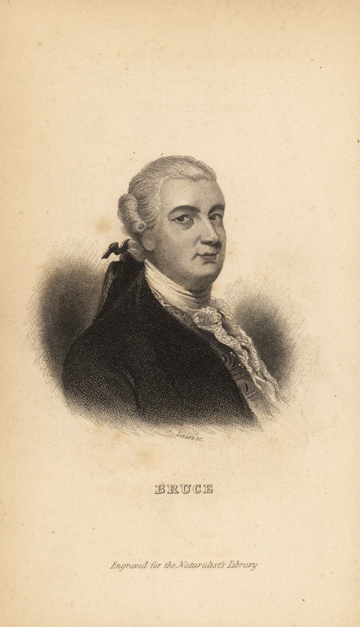 James Bruce van Kinnaird, Schotse ontdekkingsreiziger, schrijver en natuuronderzoeker door Unbekannt