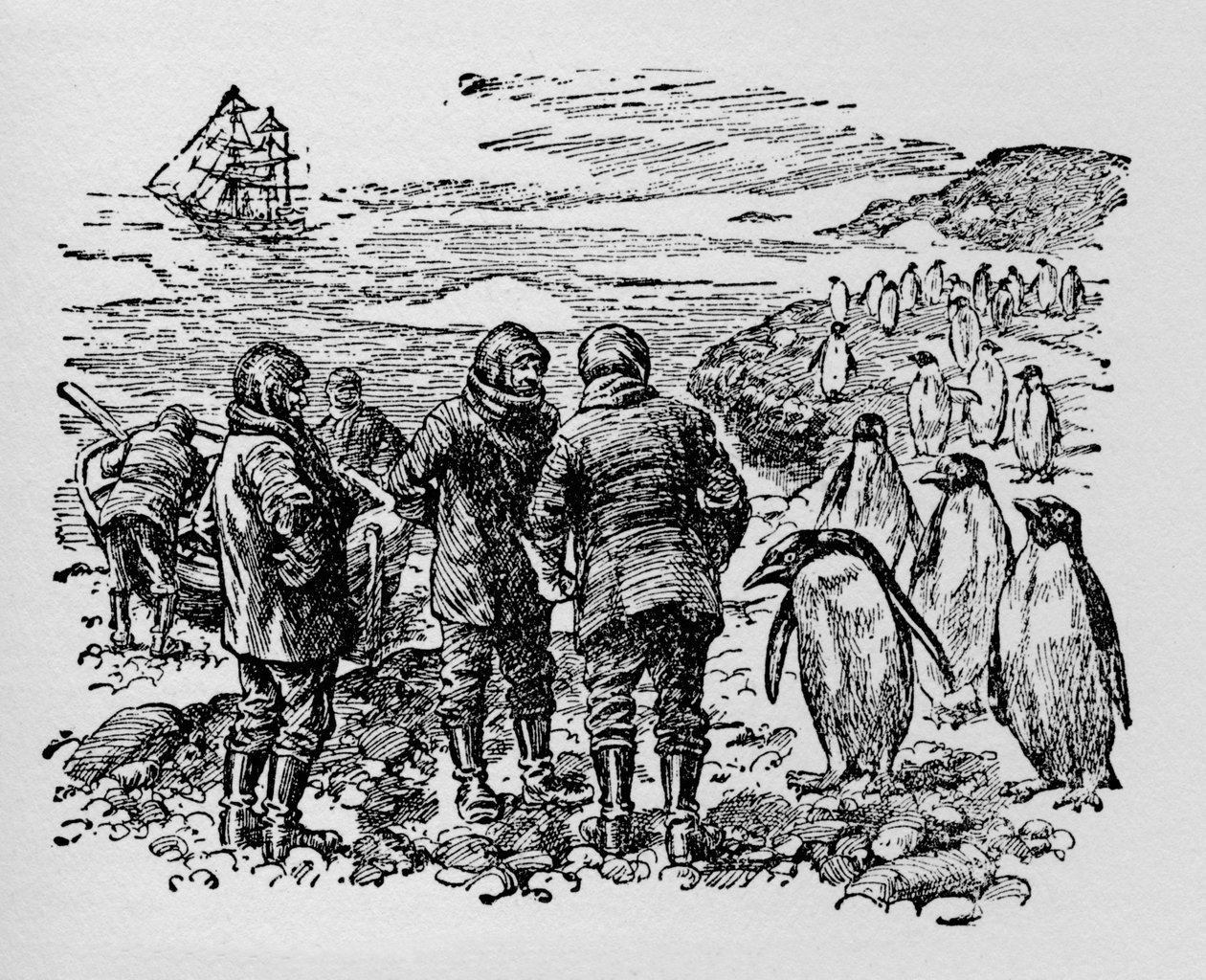 Gelande op een klein eiland bewoond door myriaden pinguïns door Unbekannt