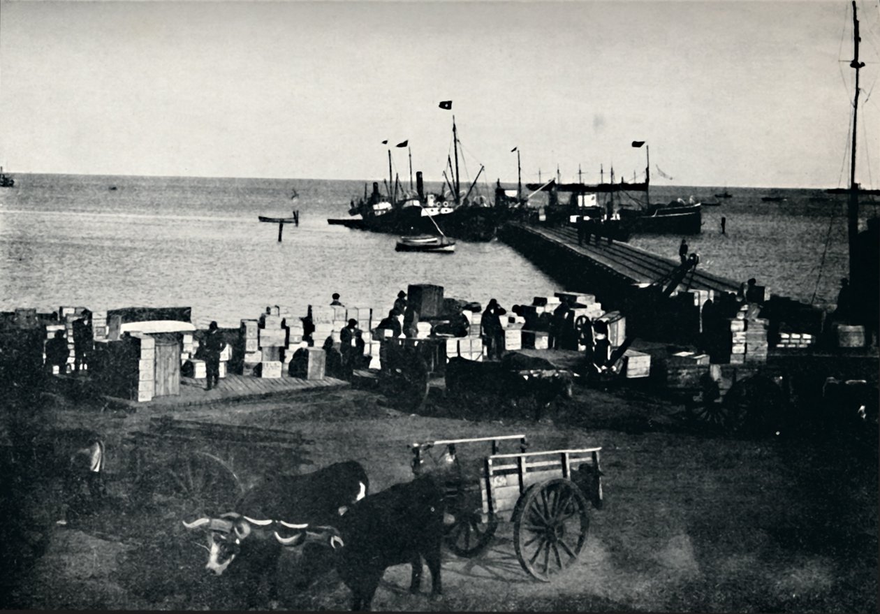 Landingsplaats, Punta Arenas, 1911 door Unbekannt