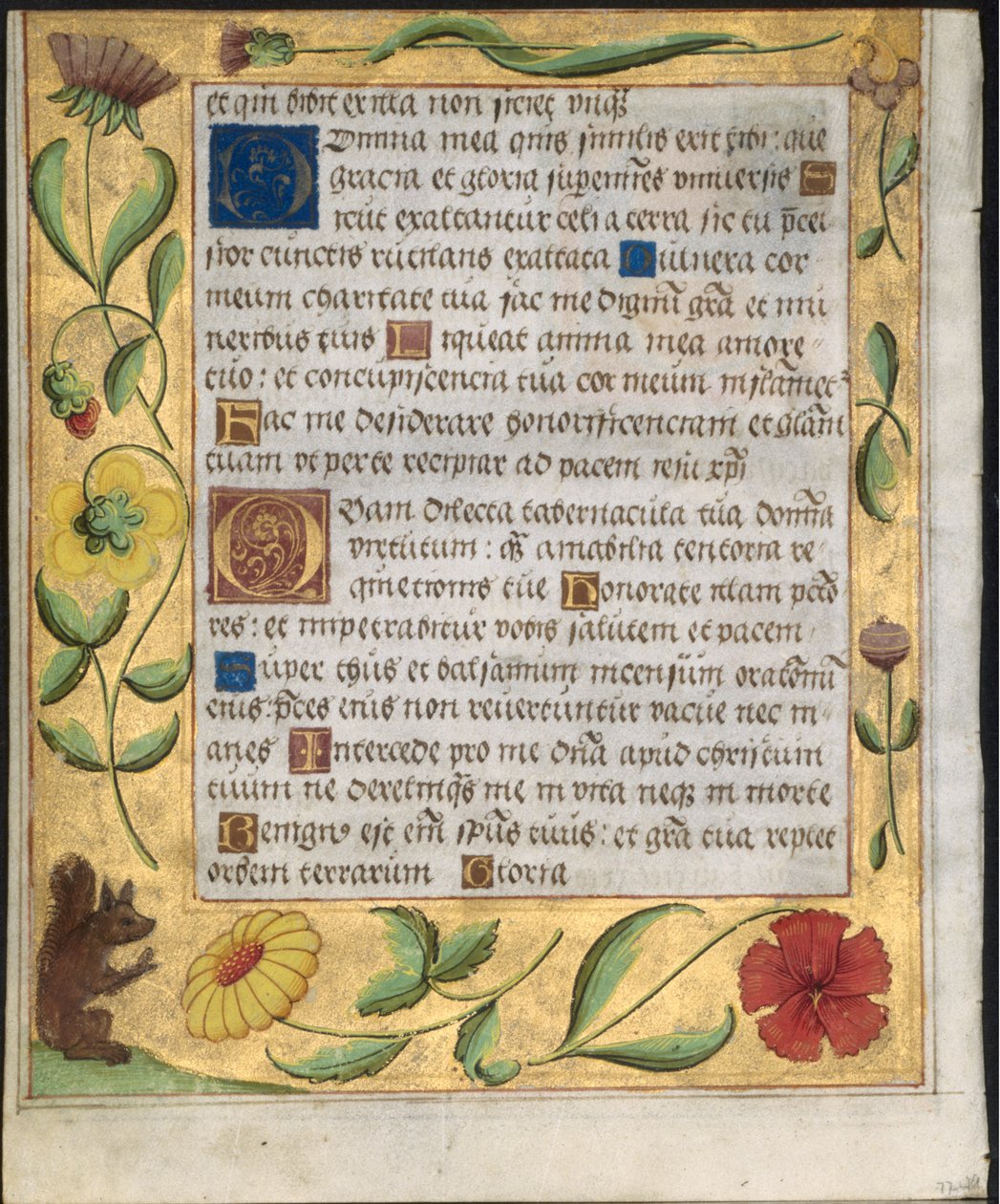 Blad uit een Psalter en Gebedenboek: Sierlijke Rand met Bloemen en Eekhoorn verso, ca. 1524 door Unbekannt