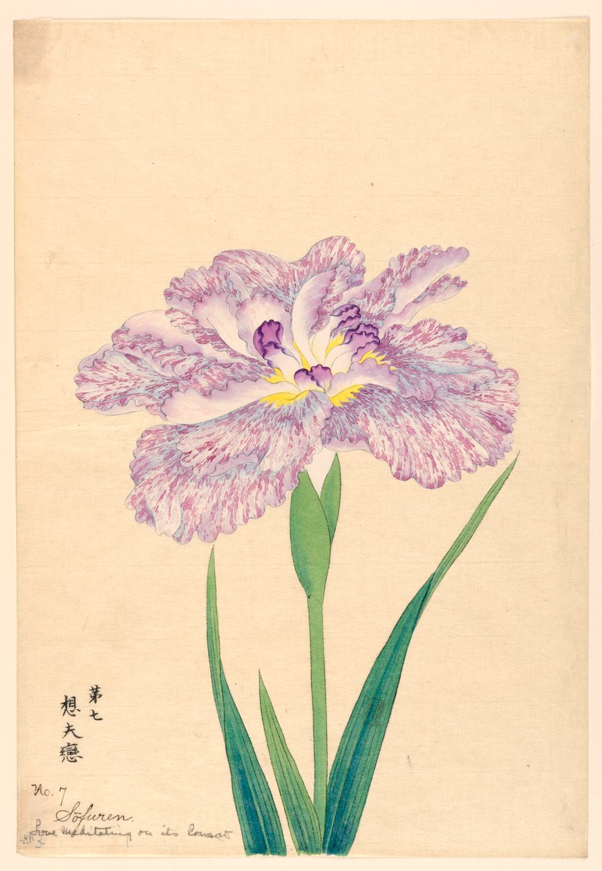 Liefde Mediterend op Zijn Metgezel (Sofuren), nr. 7, ca. 1910 door Unbekannt